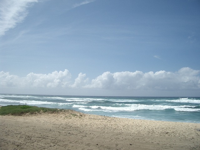 ハワイ・オアフ島モクレイアビーチの写真